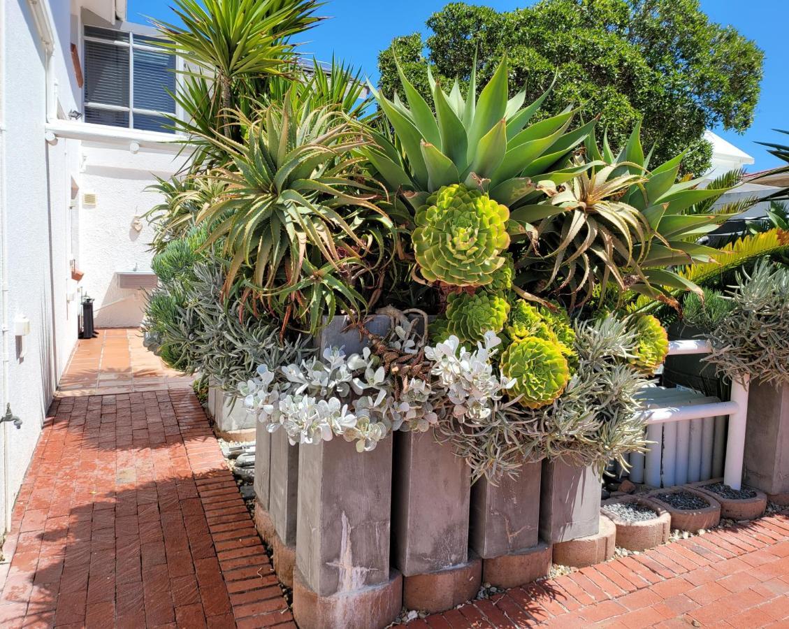 On The Beach Apartments 伊泽芳登 外观 照片