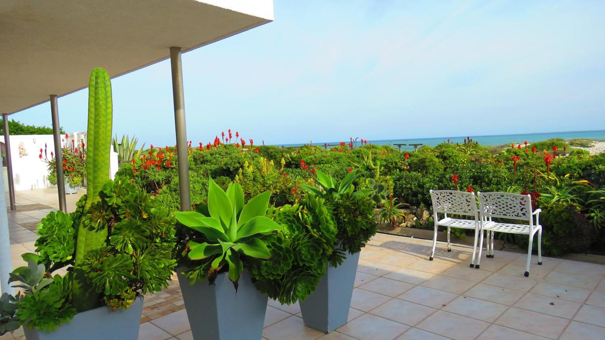 On The Beach Apartments 伊泽芳登 外观 照片