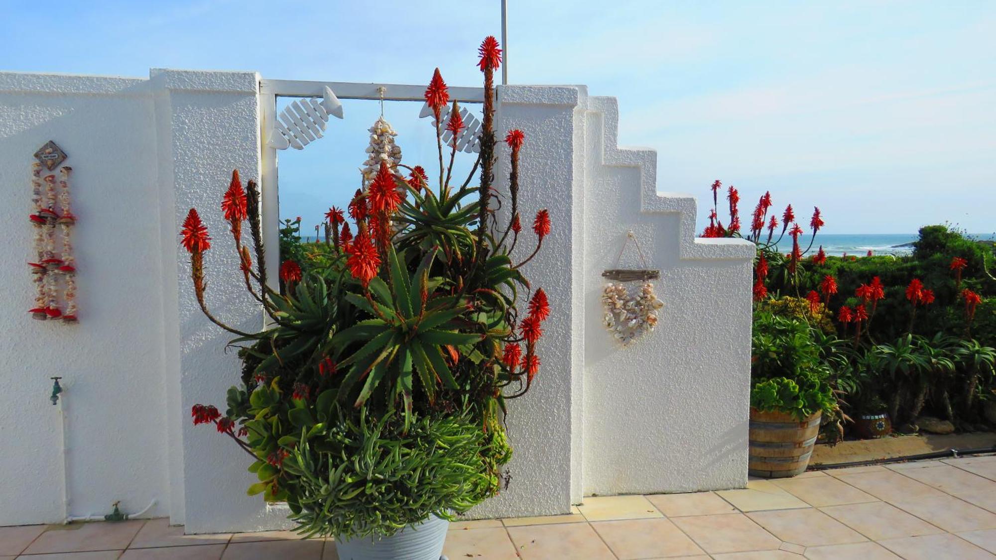 On The Beach Apartments 伊泽芳登 外观 照片
